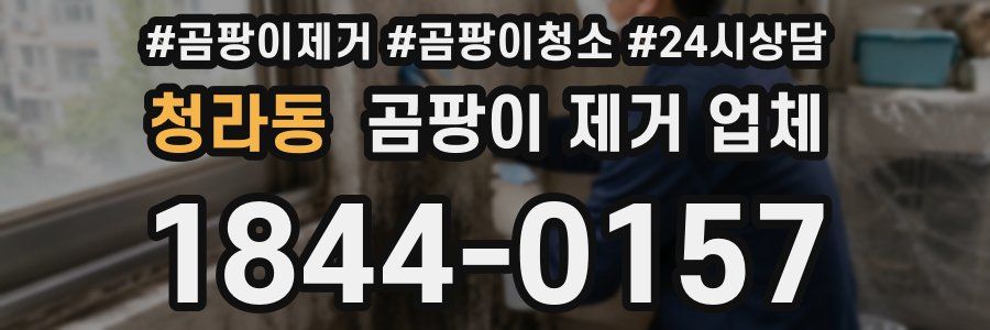 청라동 곰팡이 제거 업체