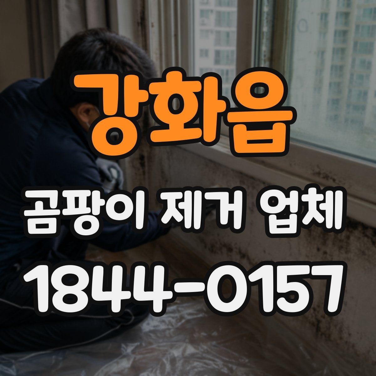 강화읍 곰팡이 제거 업체 작업 전 사진진단으로 상태 확인하는 방법