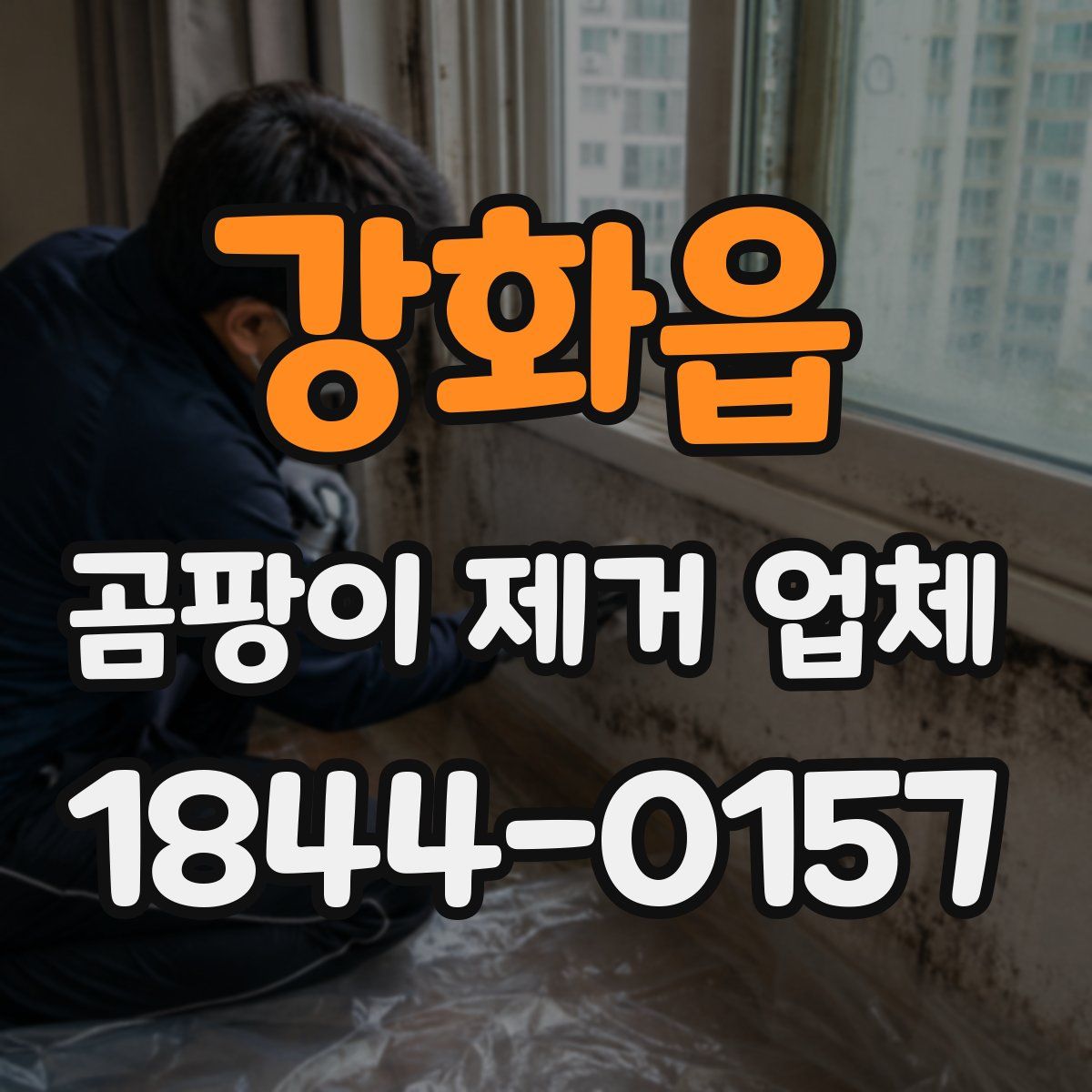 강화읍 곰팡이 제거 업체