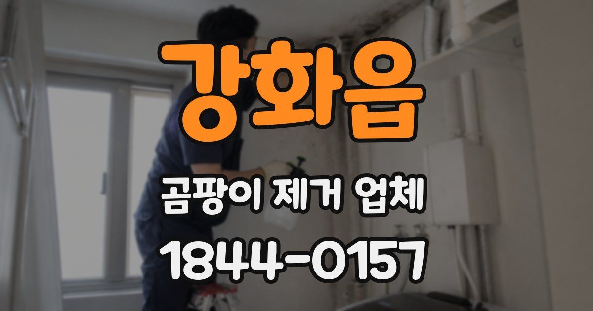 강화읍 곰팡이 제거 업체