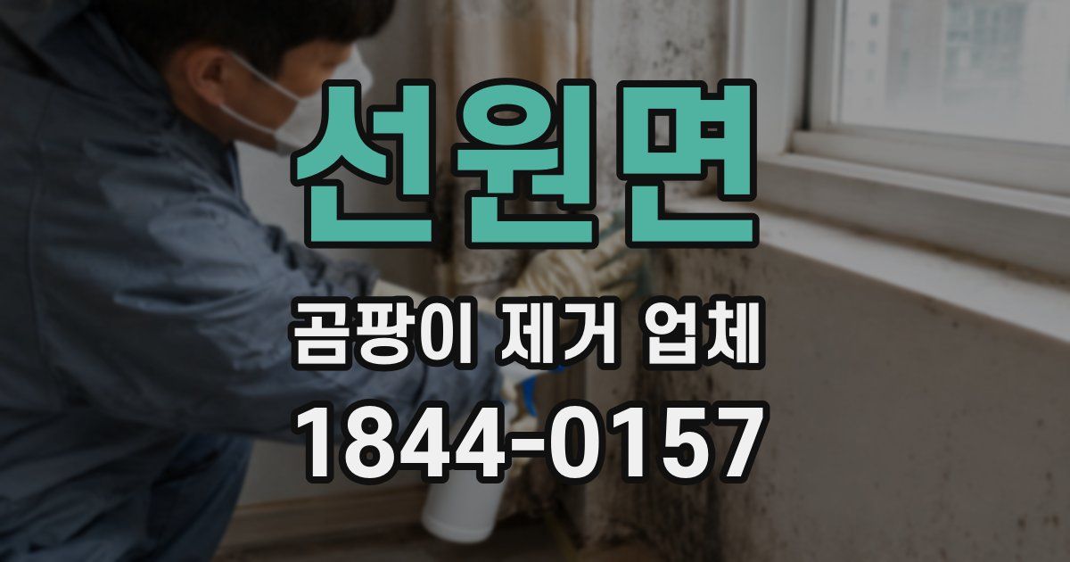 선원면 곰팡이 제거 업체