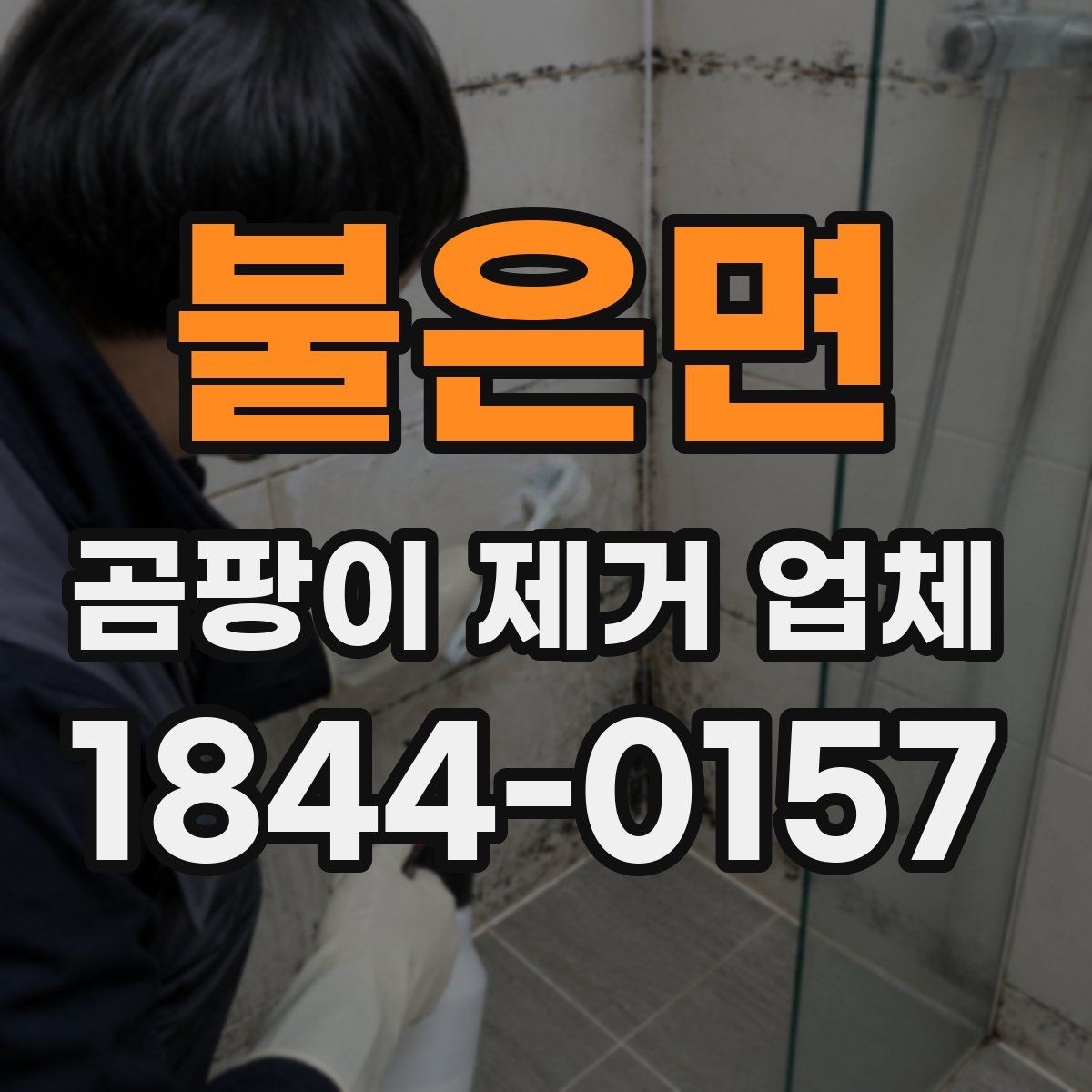 불은면 곰팡이 제거 업체