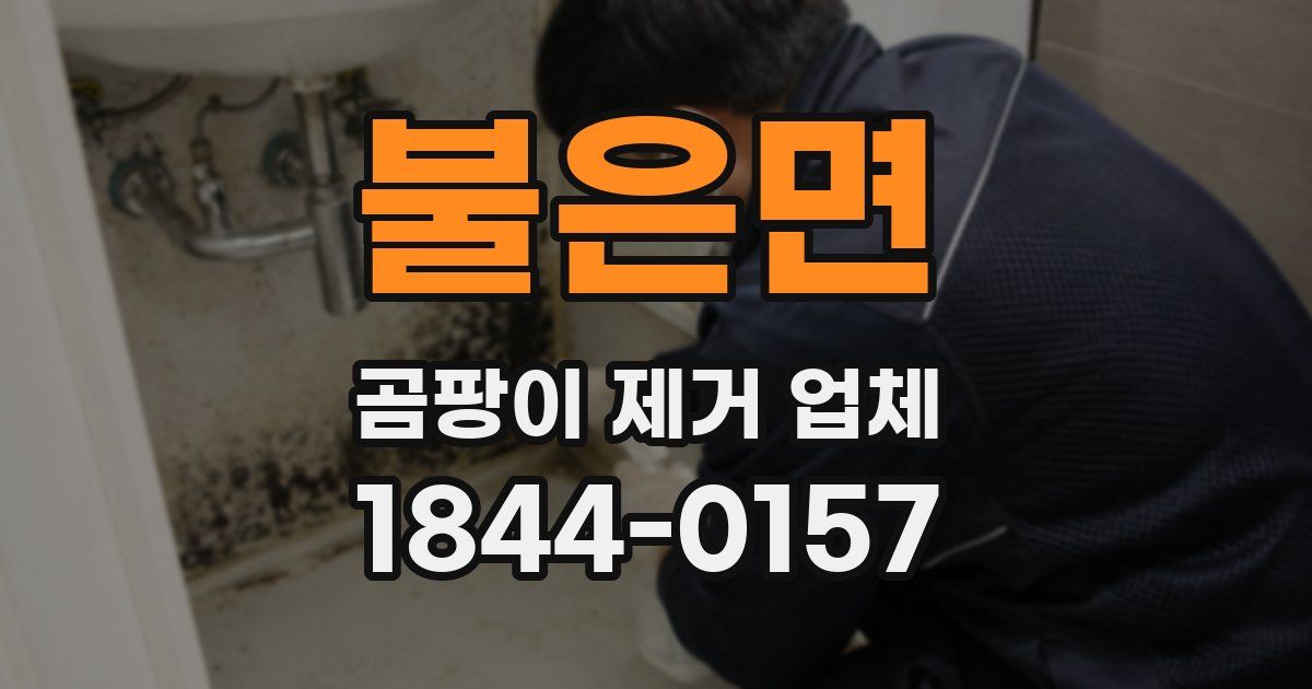 불은면 곰팡이 제거 업체