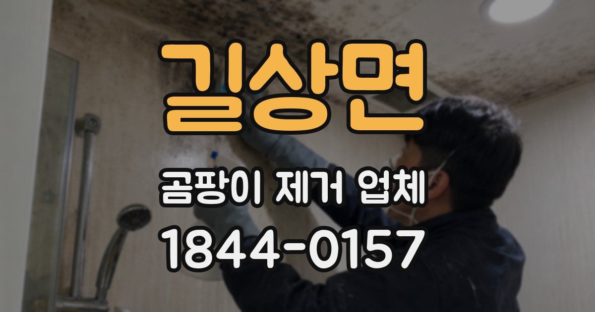 길상면 곰팡이 제거 업체