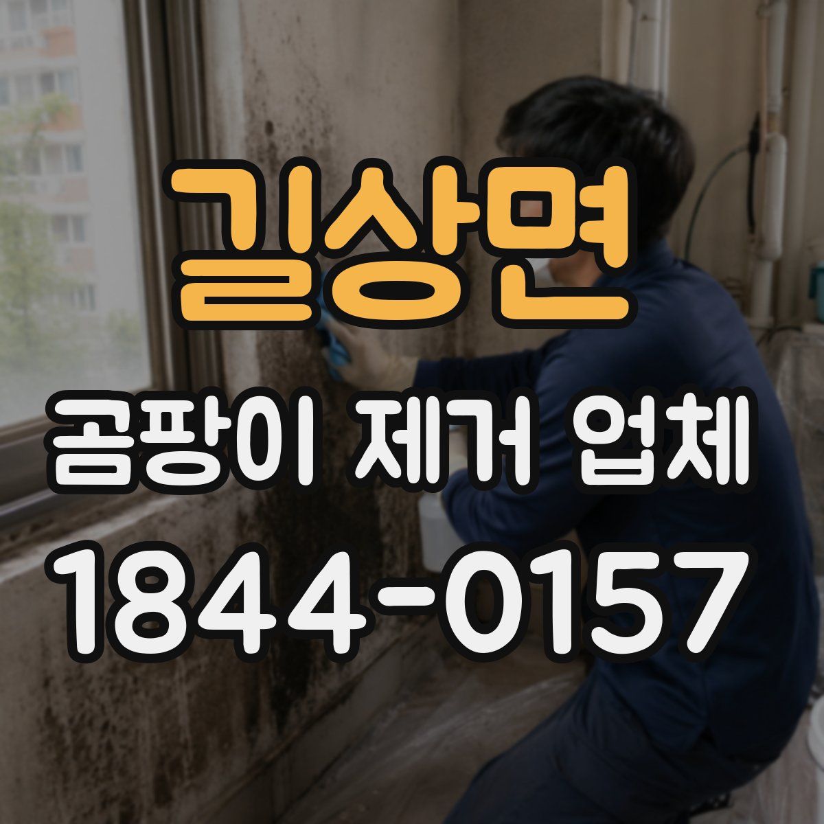 길상면 곰팡이 제거 업체