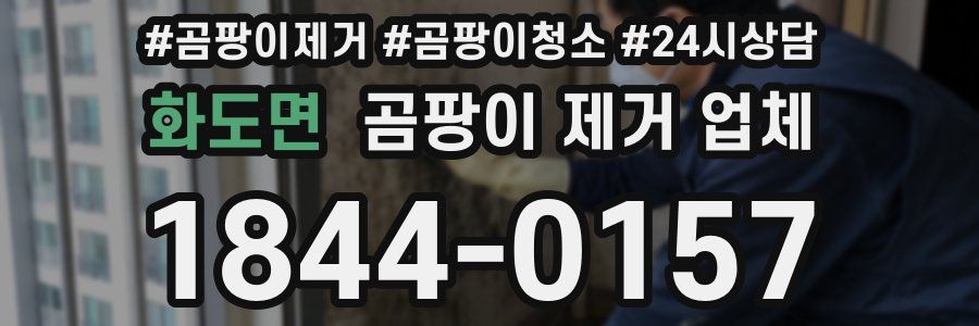 화도면 곰팡이 제거 업체