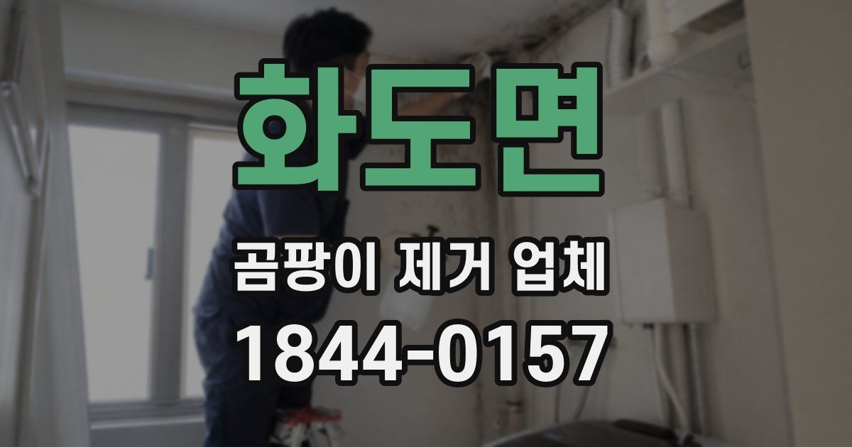 화도면 곰팡이 제거 업체