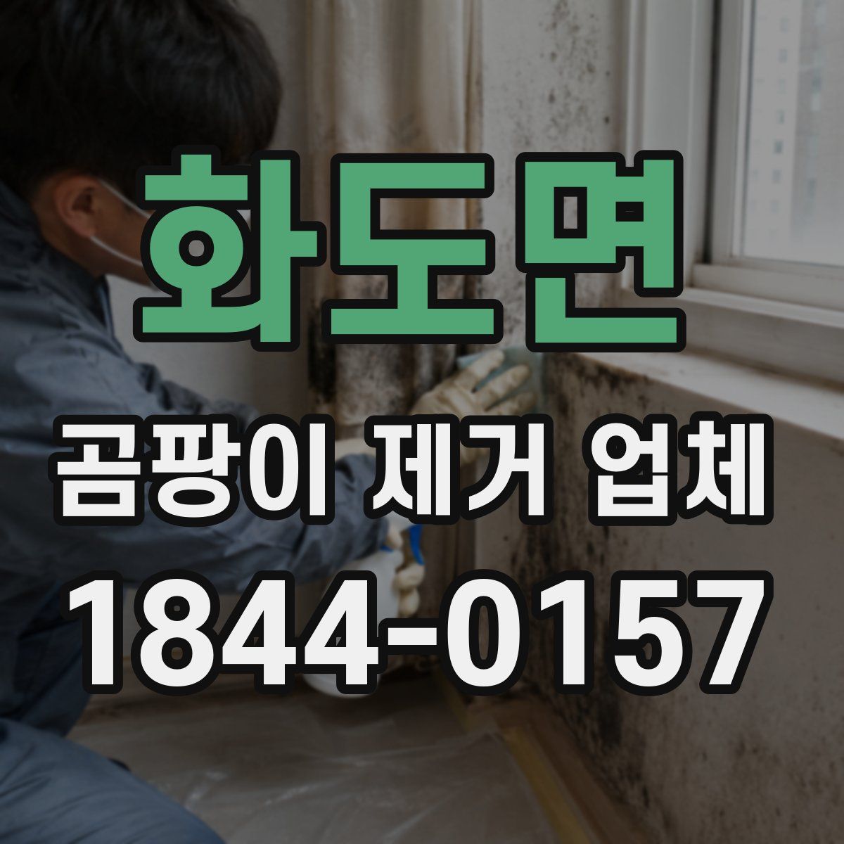 화도면 곰팡이 제거 업체