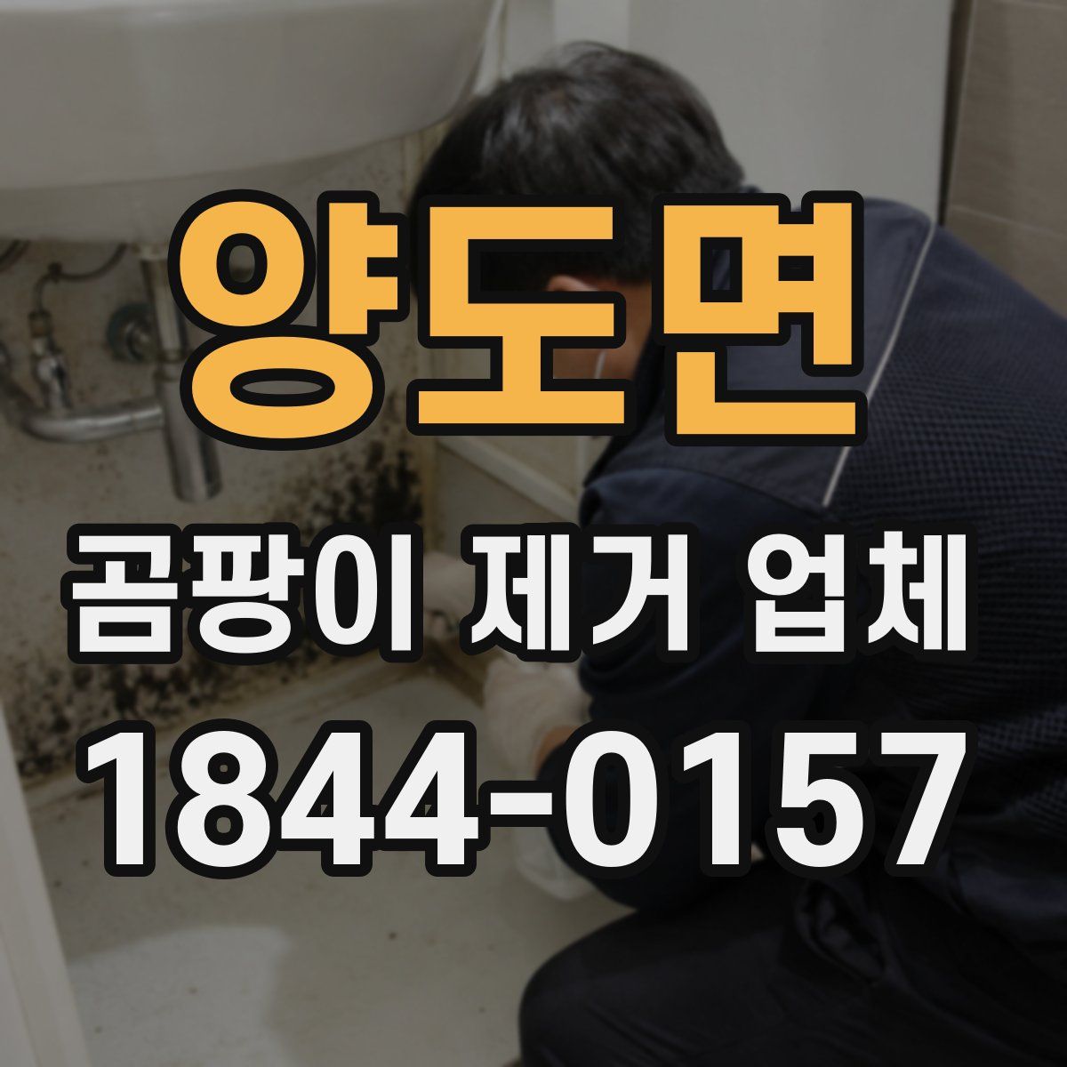 양도면 곰팡이 제거 업체