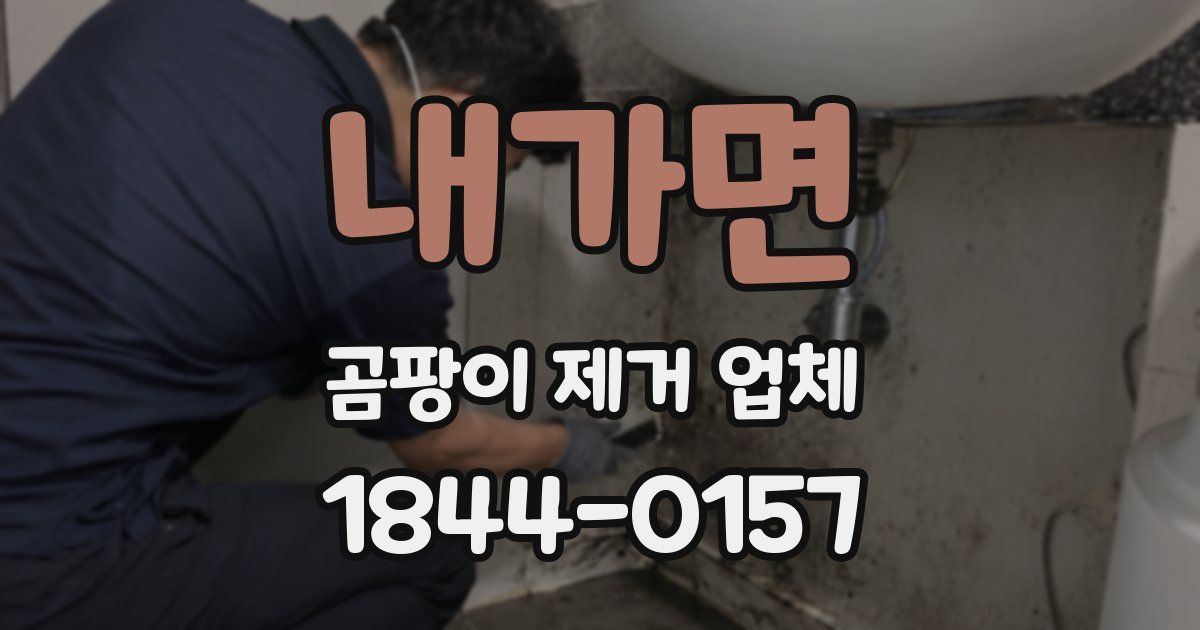 내가면 곰팡이 제거 업체