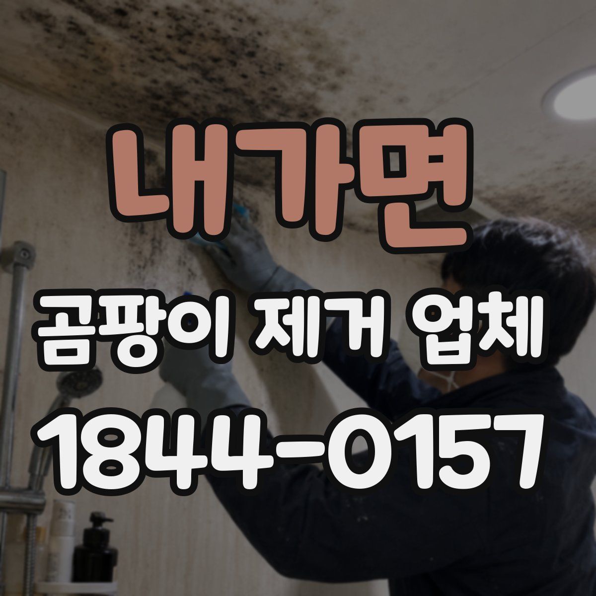 내가면 곰팡이 제거 업체