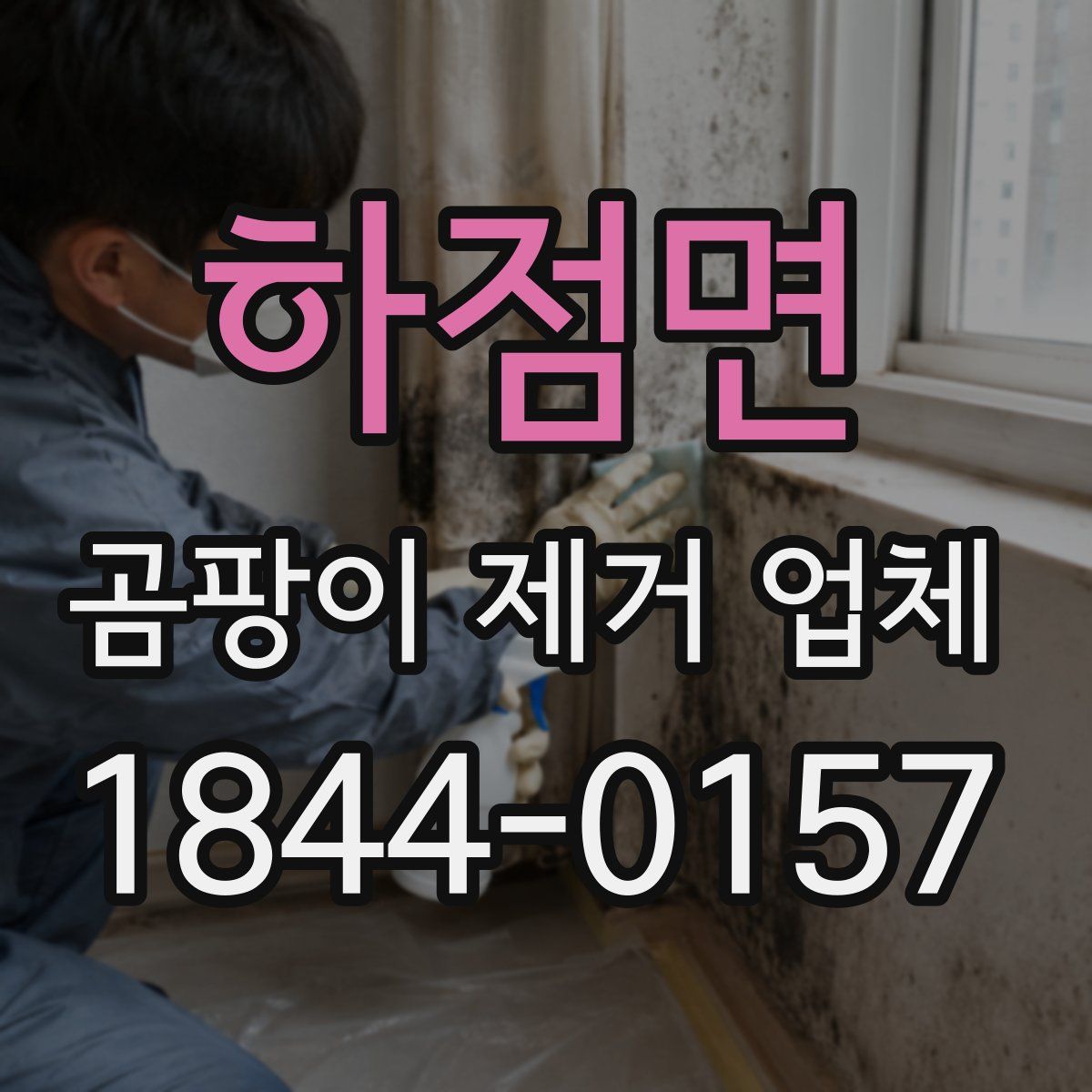 하점면 곰팡이 제거 업체