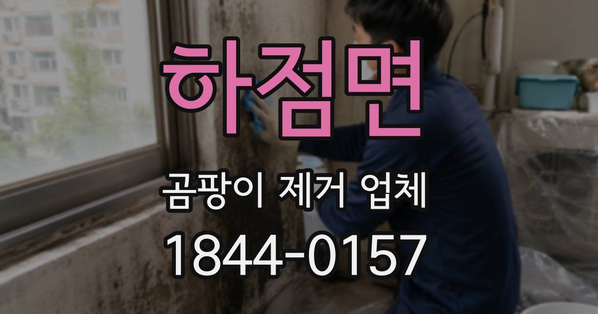 하점면 곰팡이 제거 업체
