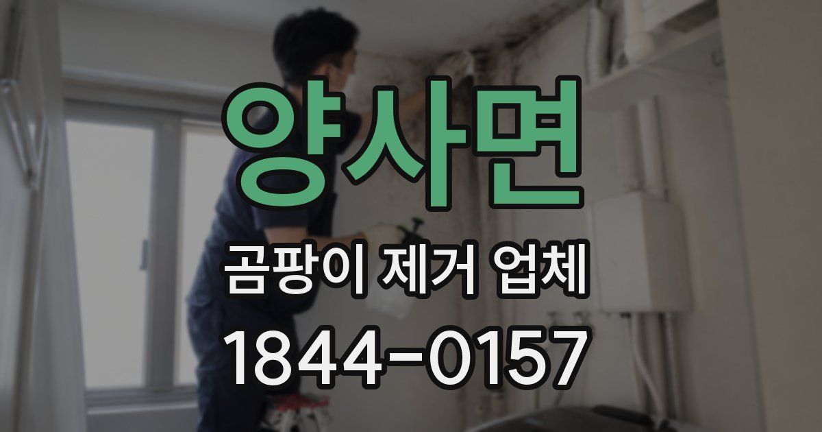 양사면 곰팡이 제거 업체