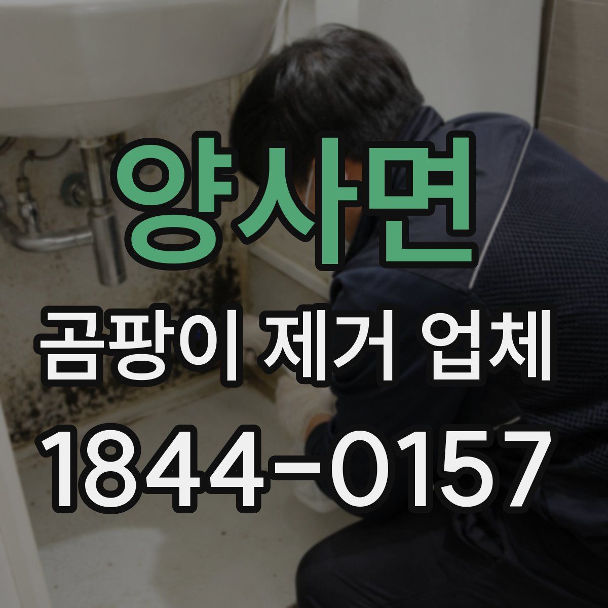 양사면 곰팡이 제거 업체