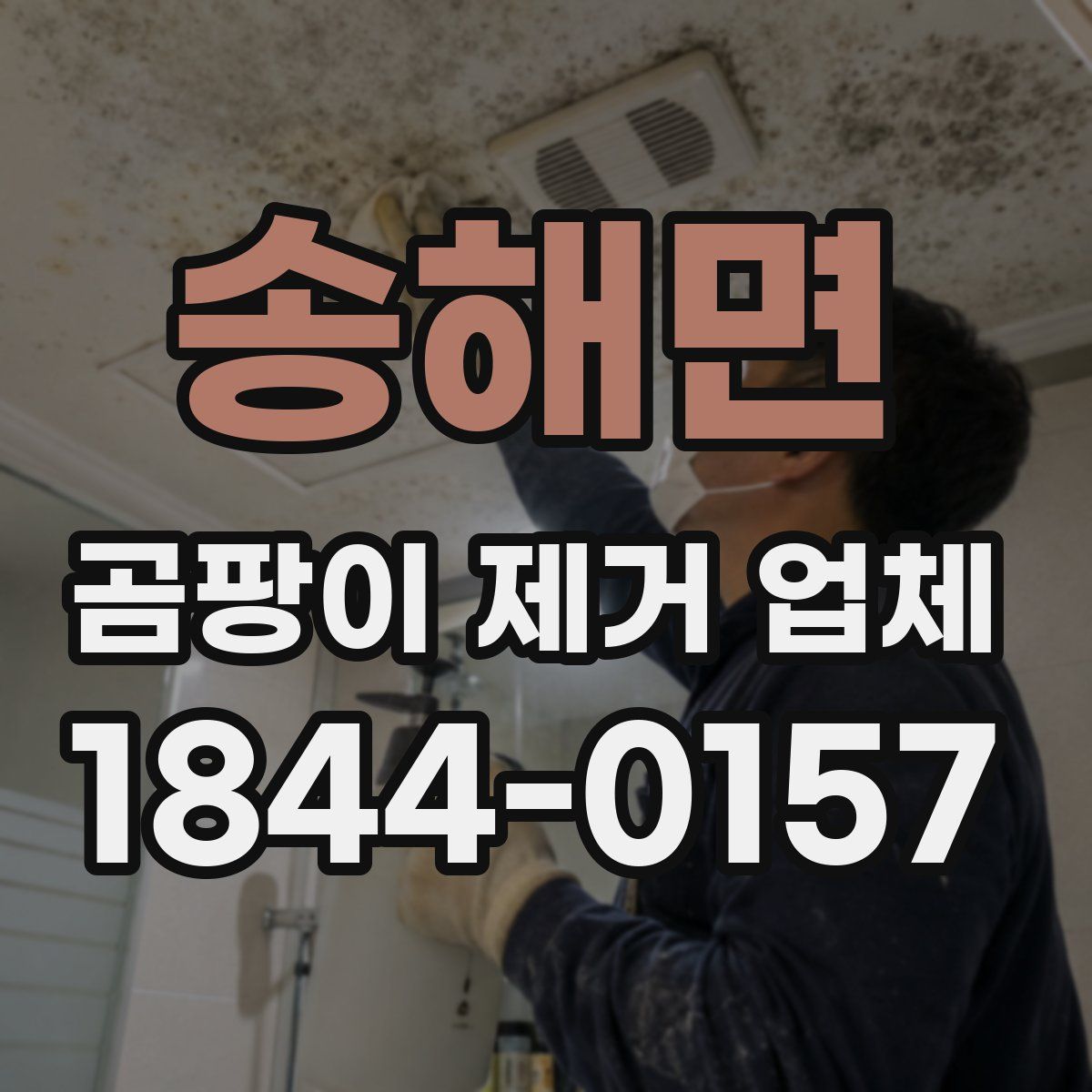 송해면 곰팡이 제거 업체