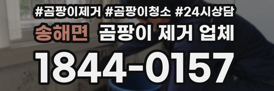 송해면 곰팡이 제거 업체