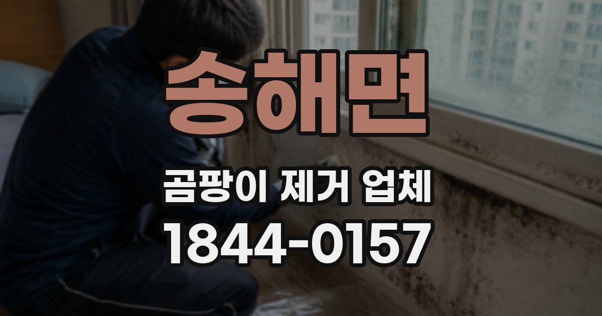송해면 곰팡이 제거 업체