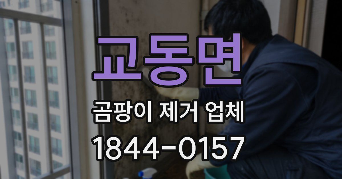 교동면 곰팡이 제거 업체