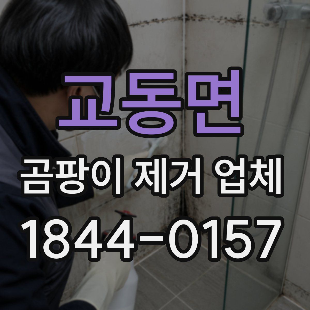 교동면 곰팡이 제거 업체