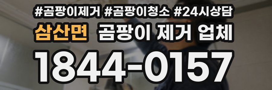 삼산면 곰팡이 제거 업체