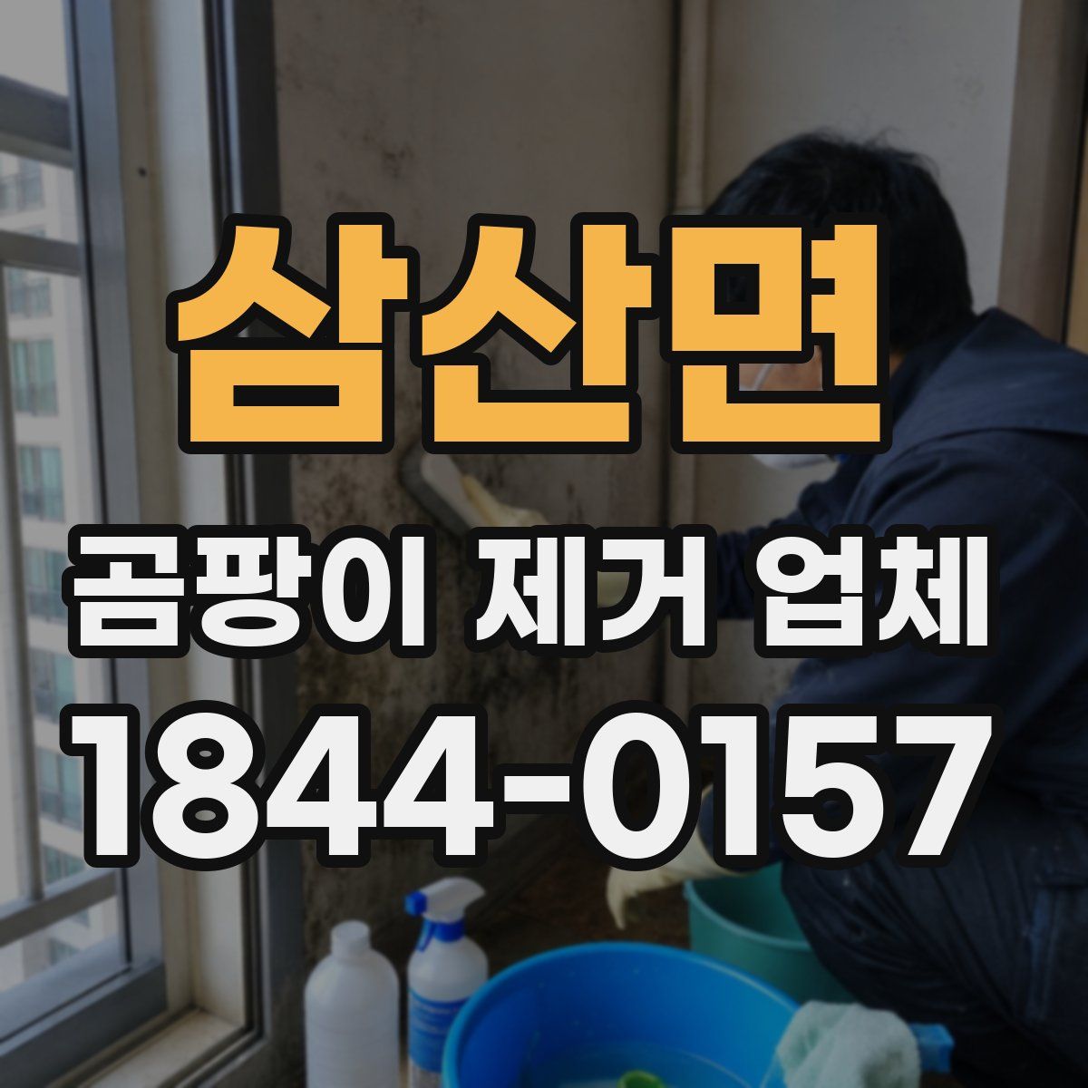 삼산면 곰팡이 제거 업체
