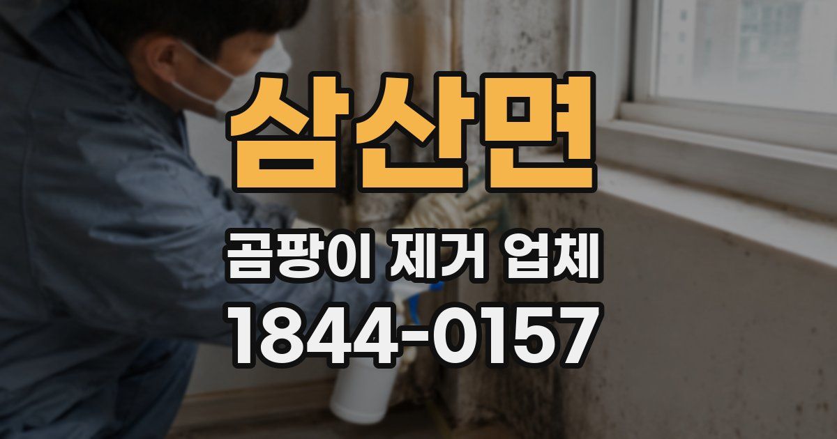 삼산면 곰팡이 제거 업체