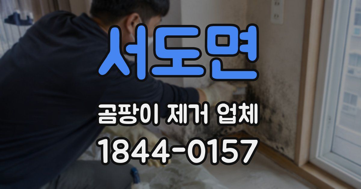 서도면 곰팡이 제거 업체
