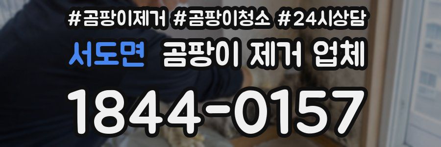 서도면 곰팡이 제거 업체