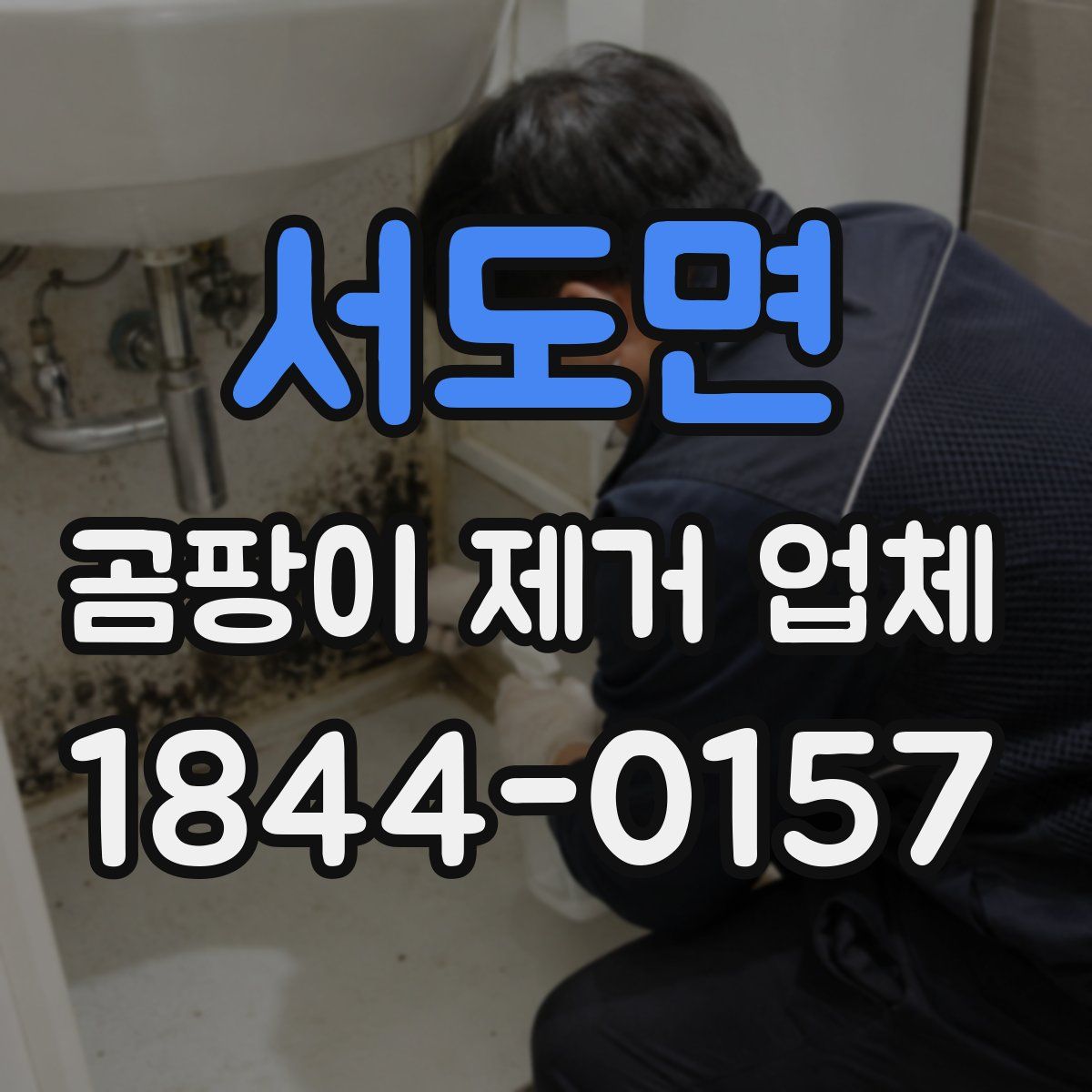 서도면 곰팡이 제거 업체