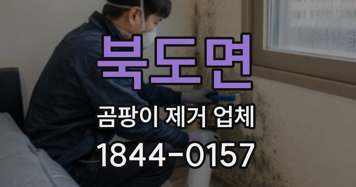북도면 곰팡이 제거 업체