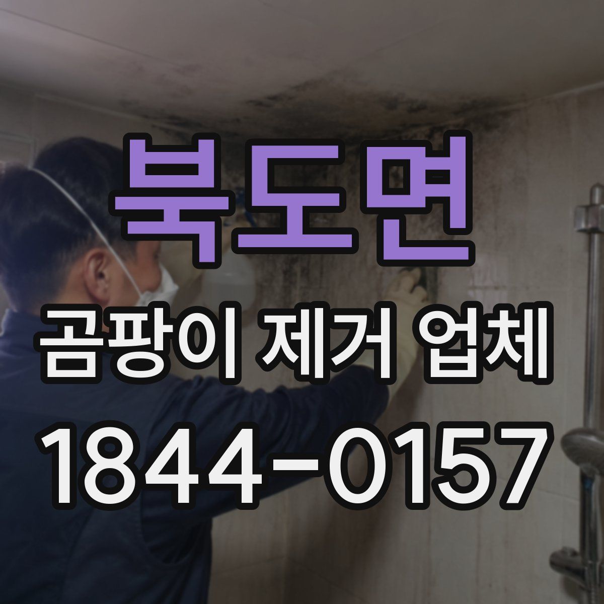 북도면 곰팡이 제거 업체