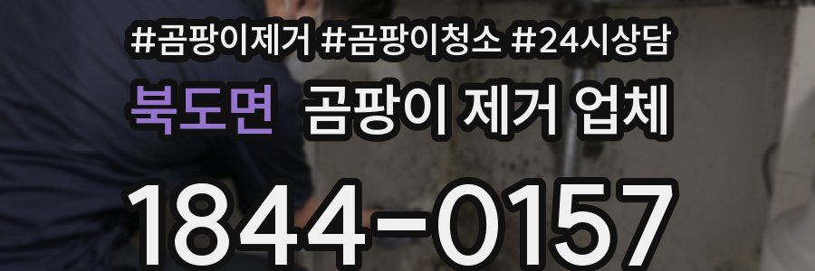 북도면 곰팡이 제거 업체