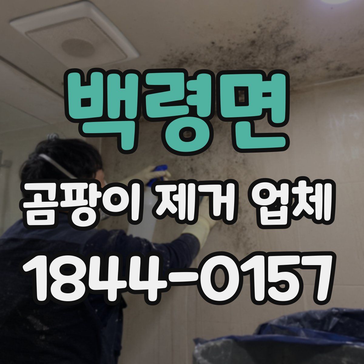 백령면 곰팡이 제거 업체