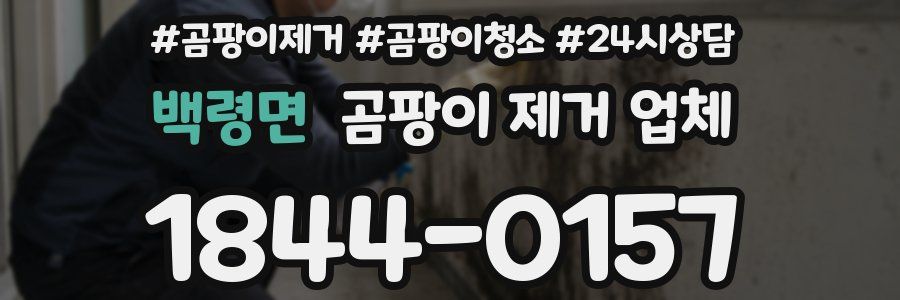 백령면 곰팡이 제거 업체