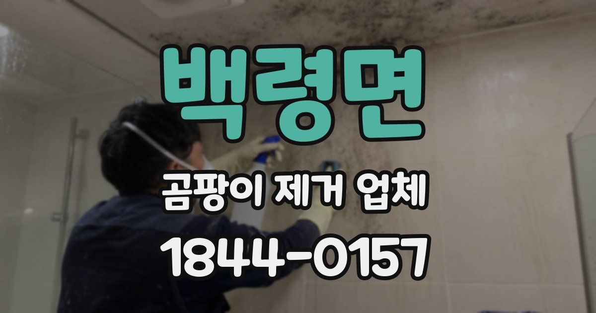 백령면 곰팡이 제거 업체