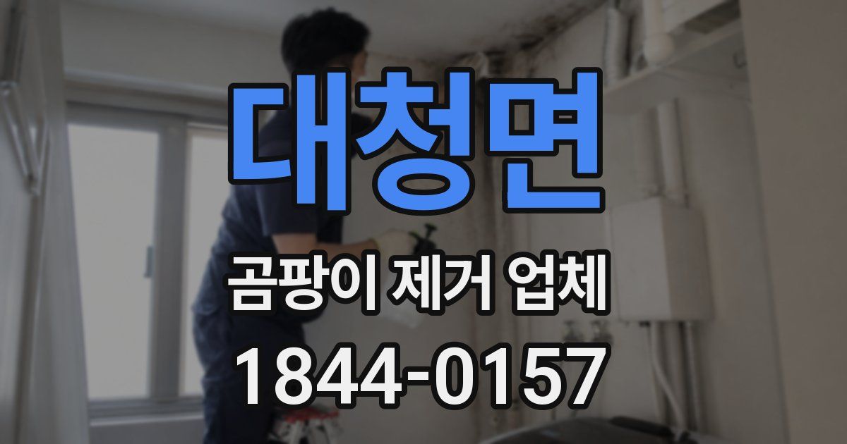 대청면 곰팡이 제거 업체