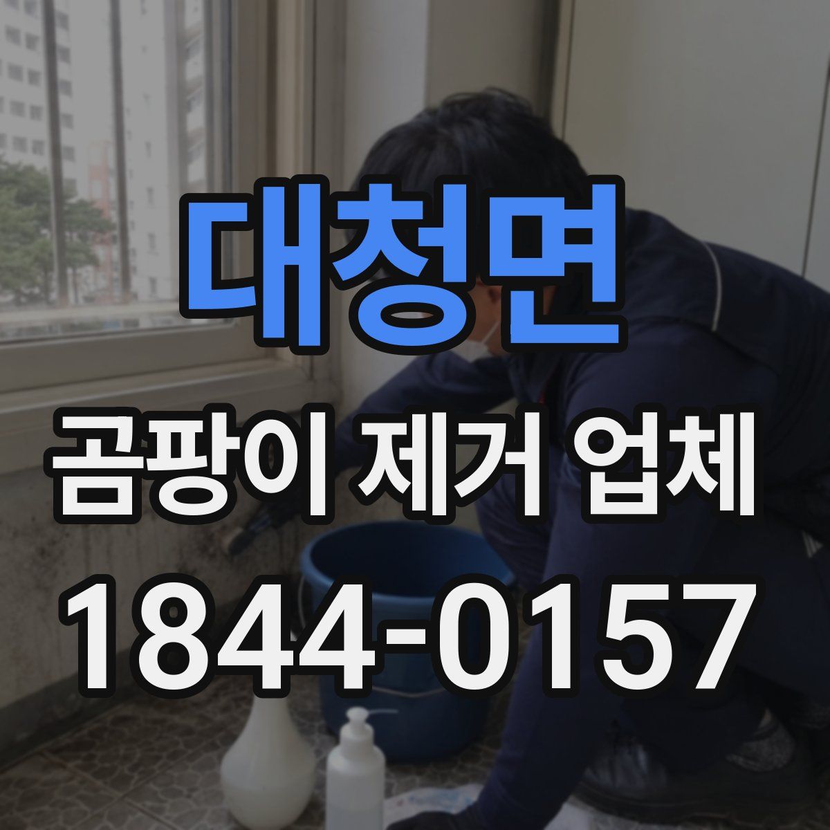대청면 곰팡이 제거 업체