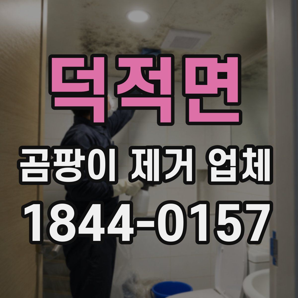덕적면 곰팡이 제거 업체