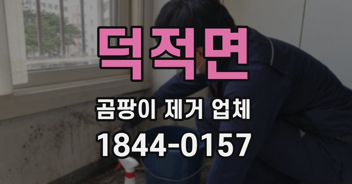 덕적면 곰팡이 제거 업체