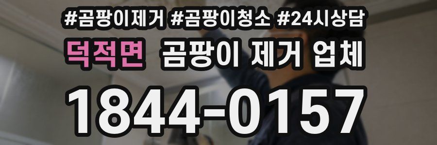 덕적면 곰팡이 제거 업체