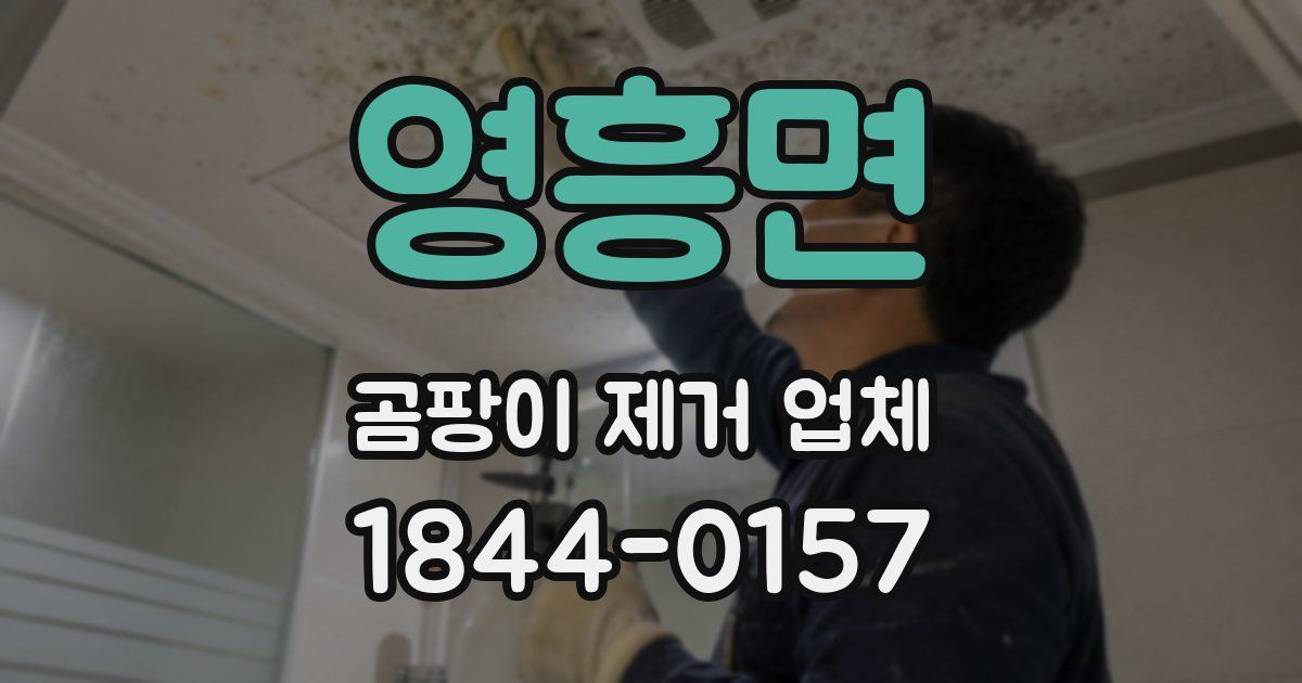 영흥면 곰팡이 제거 업체