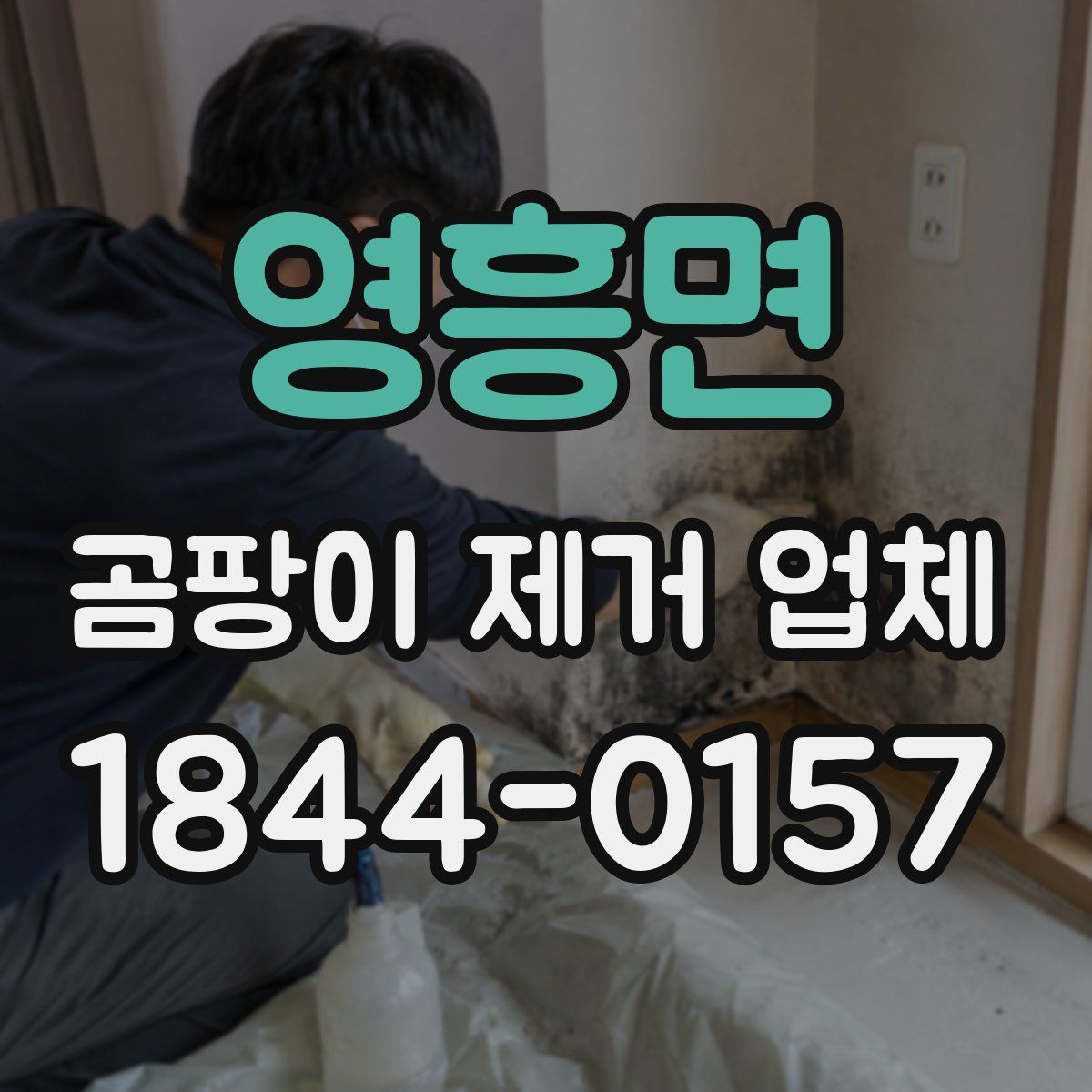 영흥면 곰팡이 제거 업체