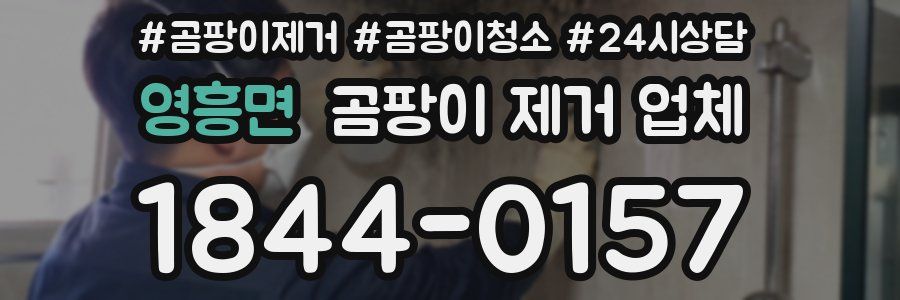 영흥면 곰팡이 제거 업체