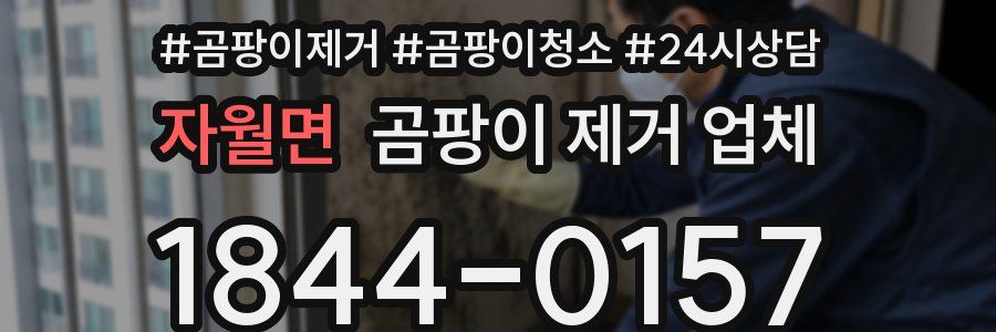 자월면 곰팡이 제거 업체