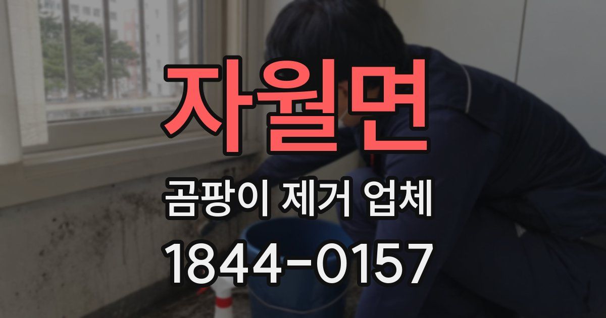 자월면 곰팡이 제거 업체