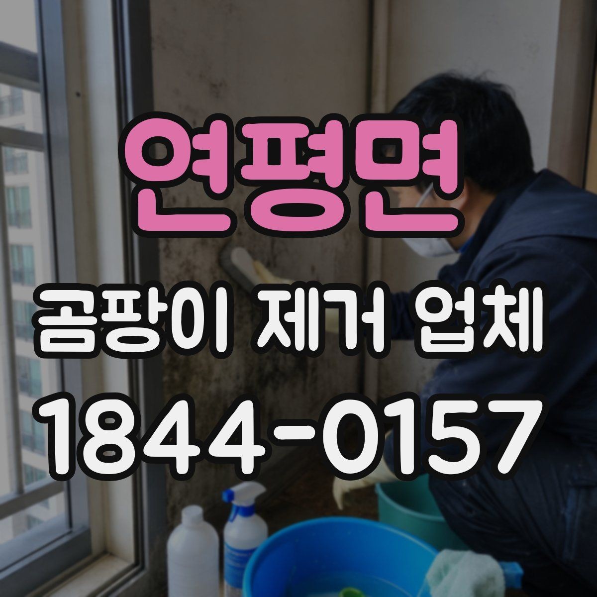 연평면 곰팡이 제거 업체 후기에서 확인할 핵심 포인트