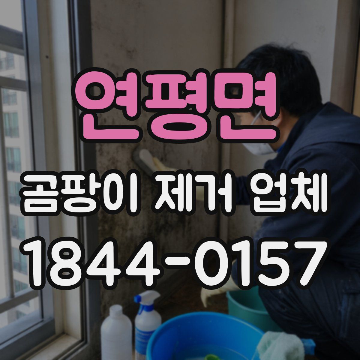 연평면 곰팡이 제거 업체