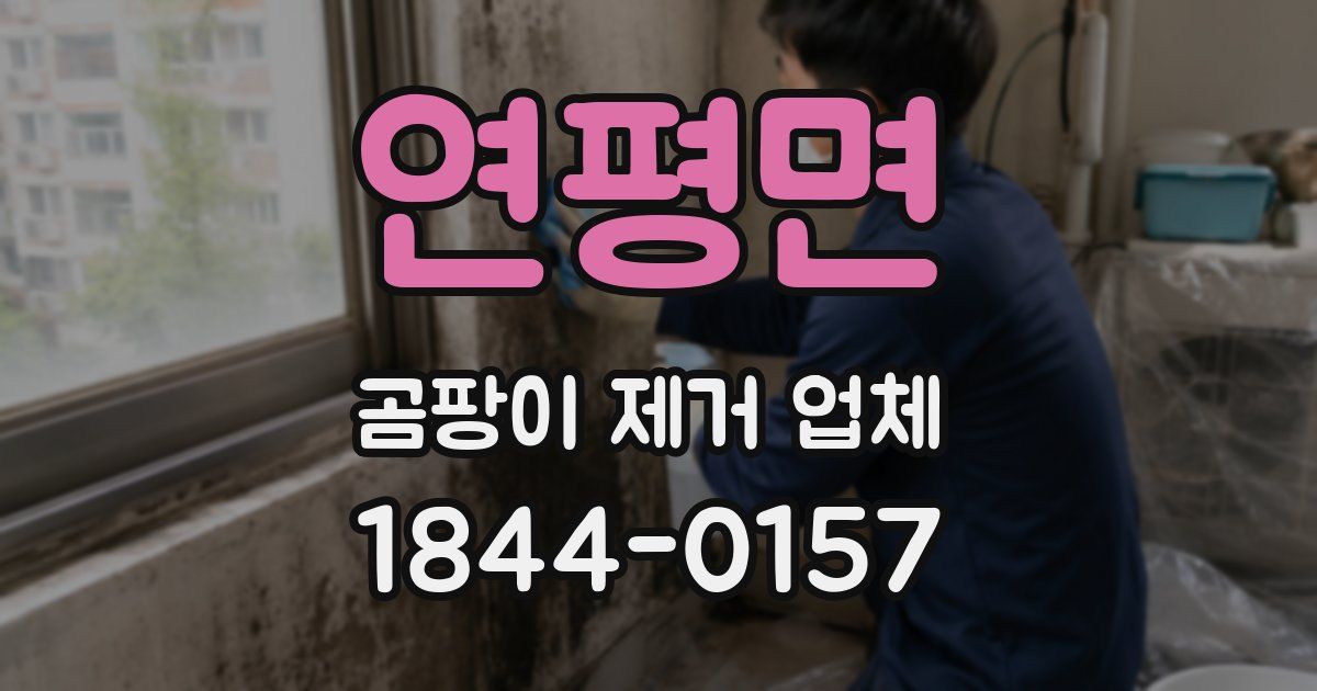 연평면 곰팡이 제거 업체
