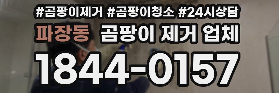 파장동 곰팡이 제거 업체